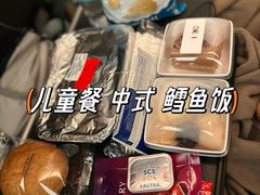 -新加坡航空公司(ION)