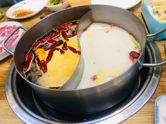 -青瓷火锅料理(西单大悦城店)