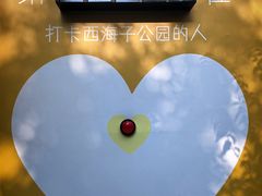 -西海子公园