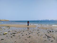 -集美鳌园景区