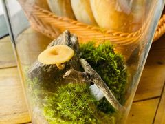 -BIG BAGEL(永康路店)