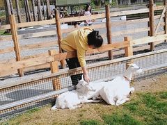 -前小桔亲子创意农场·草莓采摘·露营烧烤