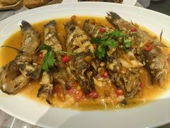 -胖老汉新疆特色椒麻鸡(南门店)