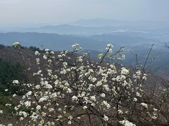 -木兰云雾山