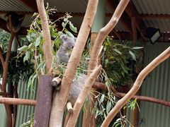 -费瑟代尔野生动物园