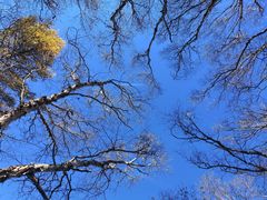 -白草畔自然风景区