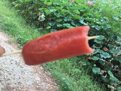 -祥源·阜阳生态乐园