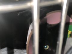 -半岛宠物医院24小时(科华中路店)