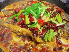 -老板恋上鱼(恒隆广场店)