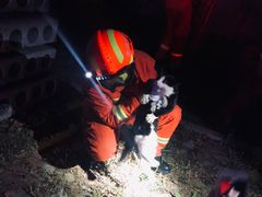 -万源龙顺度假庄园生态观光园