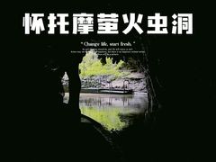 -怀托摩萤火虫洞