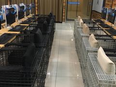-网鱼网咖·电竞(中山友好广场店)