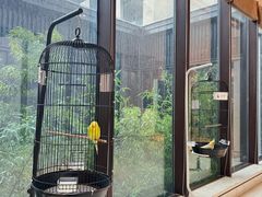 -上海崇明金茂凯悦酒店