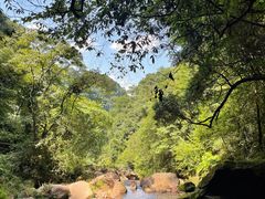 -碧峰峡风景区