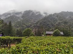 -姑婆山旅游区