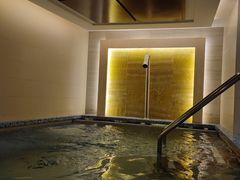 -上海浦东嘉里大酒店