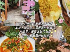 -西双版纳原始森林公园
