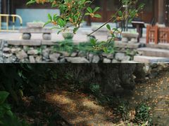 -宁波市保国寺古建筑博物馆