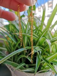 -菜百首饰(世纪金源购物中心店)