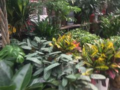 -秦美花卉(天朗·莱茵小城2期店)
