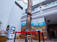 -自贡恐龙博物馆