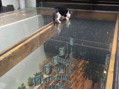 -猫的天空之城概念书店(杭州南宋御街店)