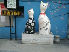 -猫咪博物馆(顶澳仔猫街店)