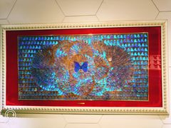 -上海昆虫博物馆