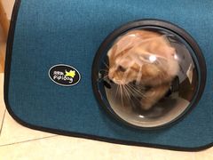 -瑞鹏宠物医院·骨科·猫科·内科(第一中心)