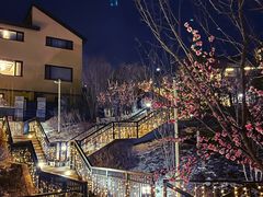 -中旅松花湖滑雪场