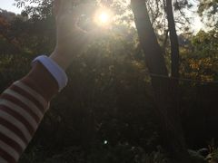 -火炉山森林公园