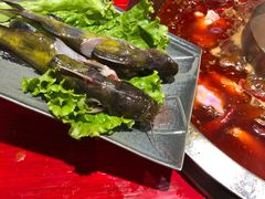 -谭鸭血老火锅(漳州路店)