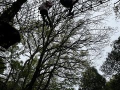 -WeLope紫金山探险公园