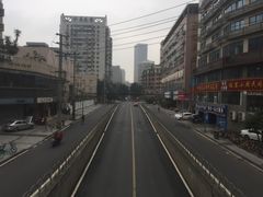 -邓氏兔头