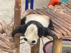 -沈阳森林动物园