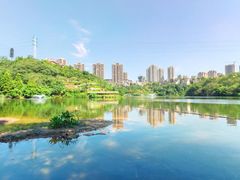 -重庆彩云湖湿地公园