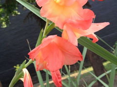 iphone_upload_pic-长安寺