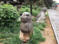 -洛阳古墓博物馆