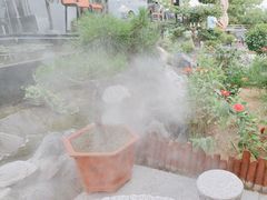 -蘇河湾·新鲁菜·泰山宴(泰山店)