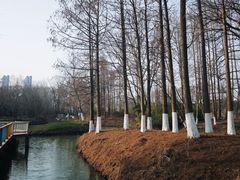 -七桥瓮公园