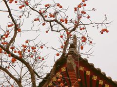 -陕西名小吃(T3航站楼一店)