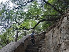 -千佛山风景名胜区