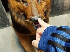 -金刚山烧烤(红旗大街店)