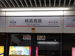 -杨高南路(地铁站)
