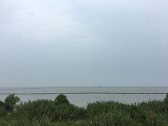 巢湖-合肥滨湖国家森林公园