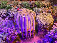 -山菌美食苑(振兴路店)