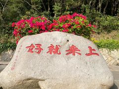 -普陀山风景区-佛顶山