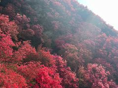 -木兰云雾山