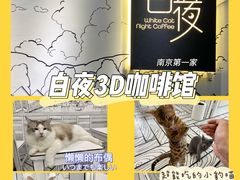 -白夜2D咖啡馆