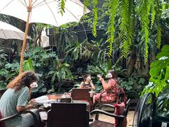 -Fern Forest Cafe